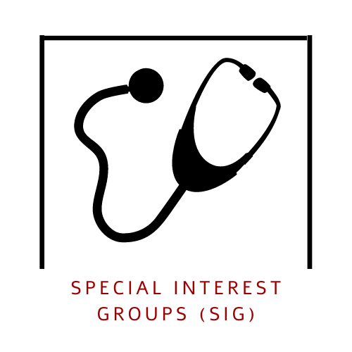 Special Interest Groups (SIGs)